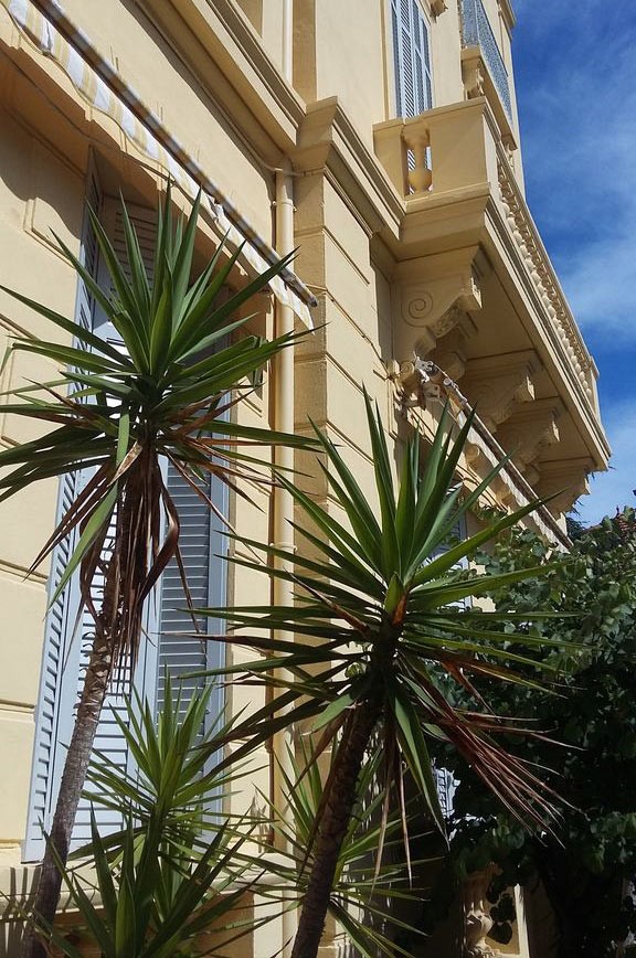 facade-palmier-windsor-cannes
